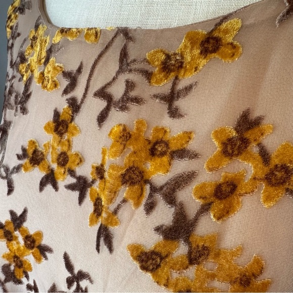 Storia Women’s Lined Tan Velvet Burnout Floral Cinched Waist Peasant Blouse Sz S - Picture 5 of 10